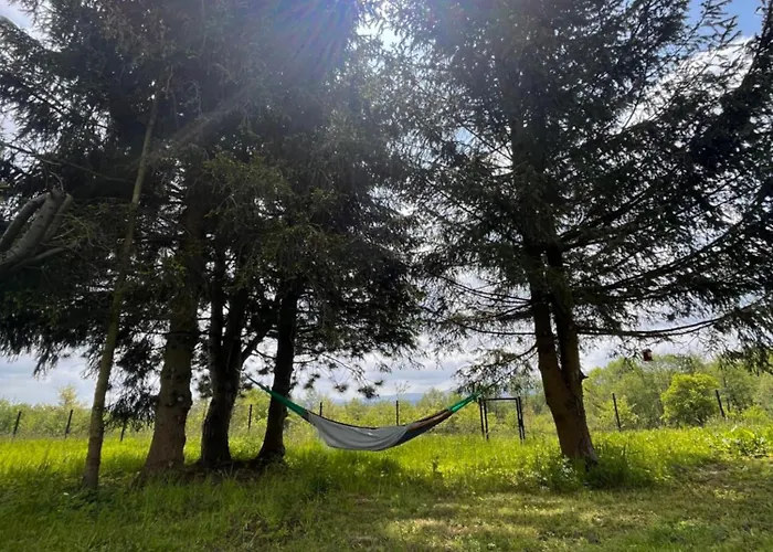 Srebrna Chata, Góry Izerskie, Leśne Opowieści * Wolimierz