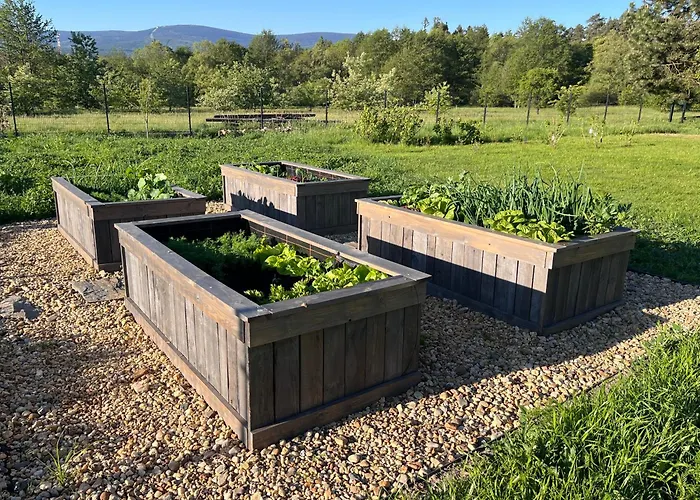 Srebrna Chata, Góry Izerskie, Leśne Opowieści *