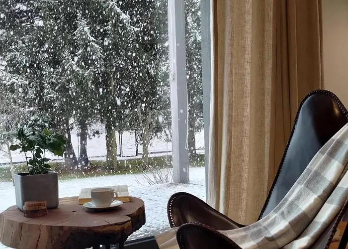 Srebrna Chata, Góry Izerskie, Leśne Opowieści Apartament Wolimierz