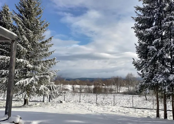 Apartament Srebrna Chata, Góry Izerskie, Leśne Opowieści *