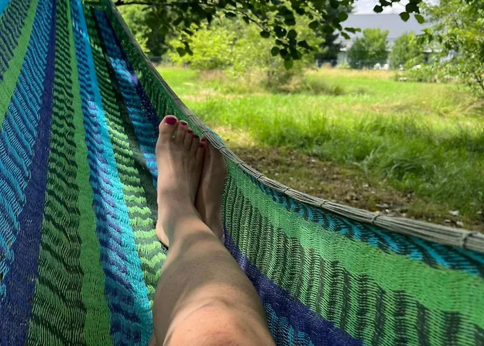 Srebrna Chata, Góry Izerskie, Leśne Opowieści